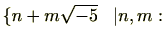 $ \{n+m\sqrt{-5}\hspace{0.3cm}\vert n,m:$